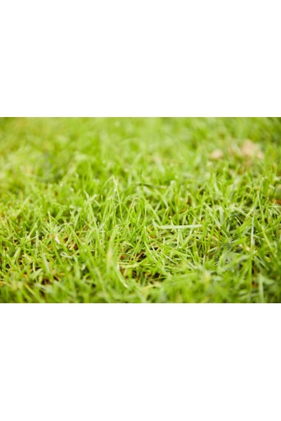 "YARA" для газонів тривалої дії, 1 кг